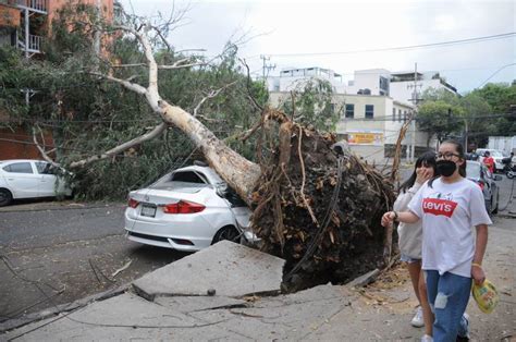 Rboles Ca Dos Por Tolvanera Viento Y Lluvia En La Cdmx Este De