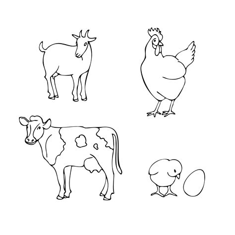 wild animal or domestic animal ki drawing 5