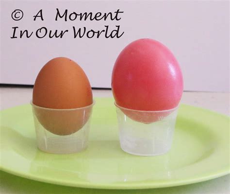 Naked Egg Science Experiment A Moment In Our World