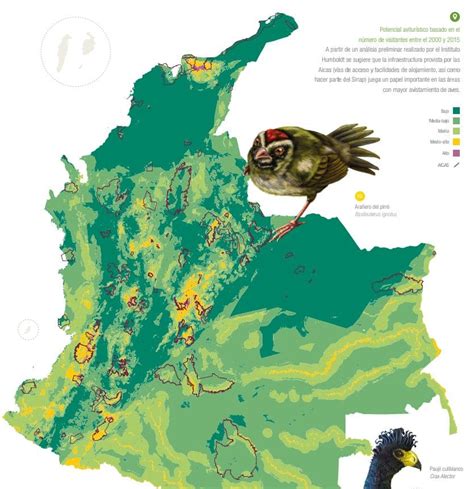 El Turismo Verde En Colombia Un Paraíso En Biodiversidad Ovacen