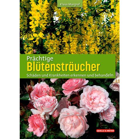 Buch Pr Chtige Bl Tenstr Ucher Sch Den Und Krankheiten Erkennen Und