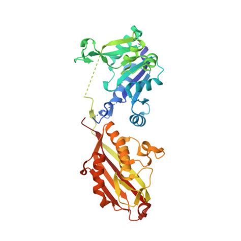 RCSB PDB 8XHU Crystal Structure Of Helicobacter Pylori IspDF