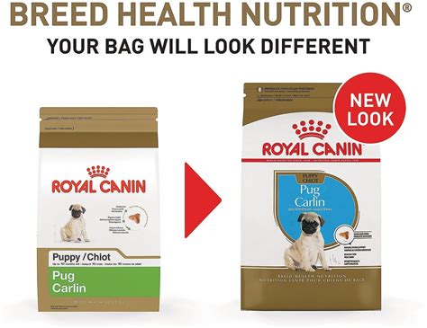 Royal Canin Pug Puppy Dry Dog Food, 2.5-lb bag - Chewy.com