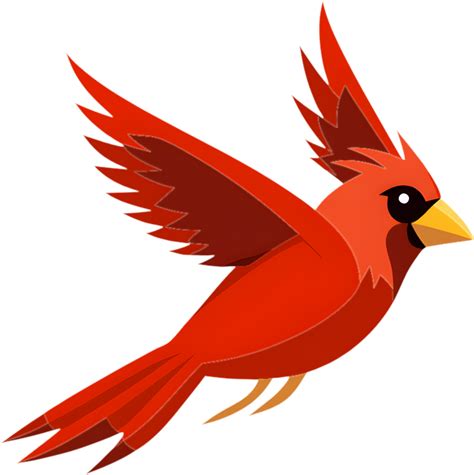 Radiante Cardenal Pájaro Clipart Para Usar 49718602 Png