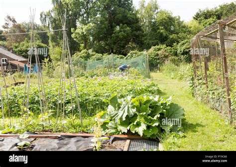 Allotments Uk Working Hi Res Stock Photography And Images Alamy