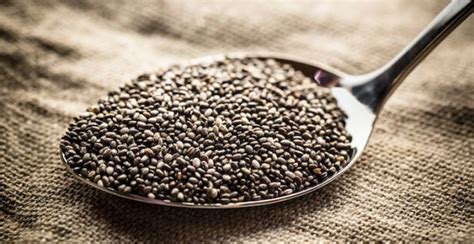 Protein in Chia Seeds: Plant-Based Power for Muscle Growth