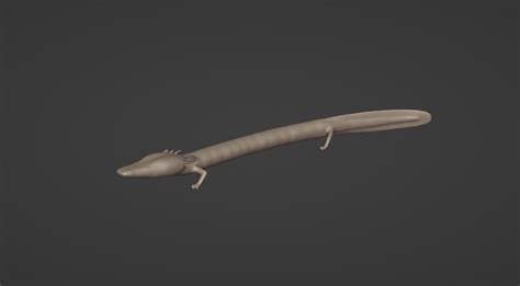 Stl File Olm Proteus Anguinus Salamander Urodele Amphibian 🦎 ・design To