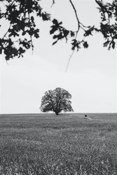 Black and White Photo of a Field · Free Stock Photo