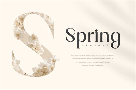 Magnolia Modern Display Serif Font Design Cuts