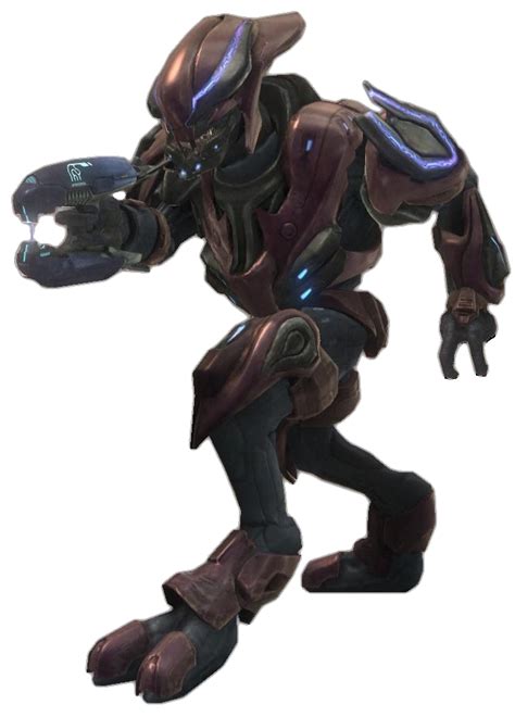 Image Hreach Sangheili Zealot Plasmariflewielded Png Halo Nation