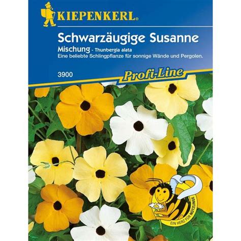 Kiepenkerl Schwarzäugige Susanne Thunbergien Mischung 1 Packung