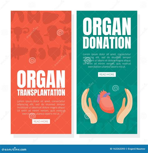 Healthcare Transplantation Blood Donation Male And Female Characters