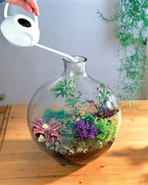 10 conseils pour réussir et bien organiser son terrarium Terrarium