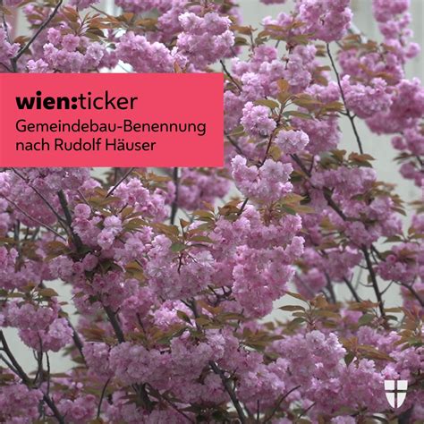 Stadt Wien on Twitter RT BgmLudwig Rudolf Häuser hat einen