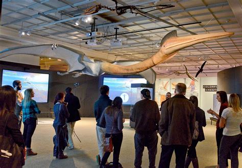 Interactive exhibit featuring pterosaurs lands at the Carnegie Museum ...