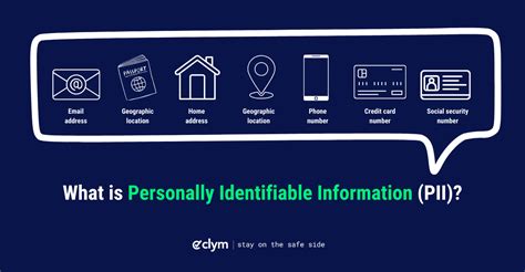 2024 Essential Guide What Is Personally Identifiable Information Pii