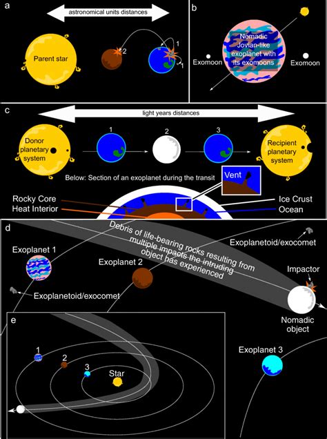 Schematic Illustration Explaining The Proposed Hypothesis Of