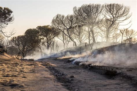 Continúa en fase de instrucción el caso de incendio de Doñana que