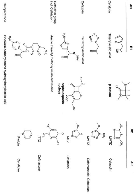 Semi Synthetic B Lactam Synthesis The Cephalosporin Nucleus Middle