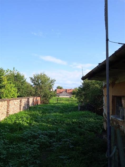 Kuća u Donjem Miholjcu prodaja