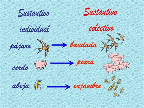 Substantivo Coletivo De Navio - Substantivo Coletivo De Navios - BRAINCP