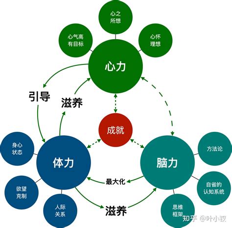 什么是心力、脑力、体力？ 知乎