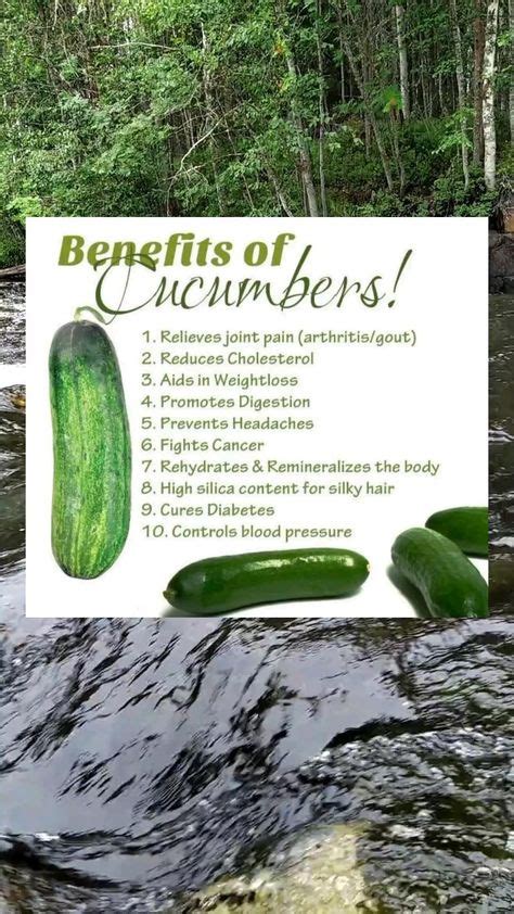 Benefits of Cucumber #healthtips #healthyliving #healthyfood #healthiswealth #healthfacts