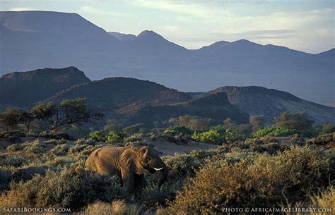 Damaraland Photos – Images & pictures