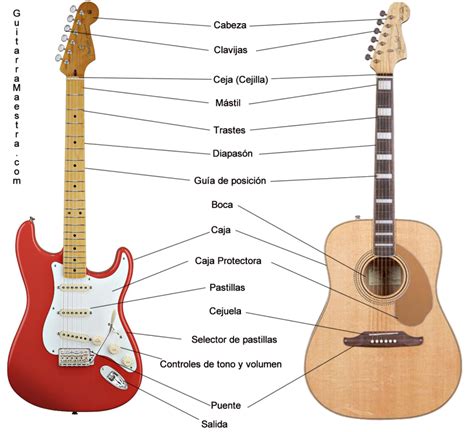 Tipos De Guitarras