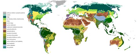 Strefy roślinności Geografia24 pl