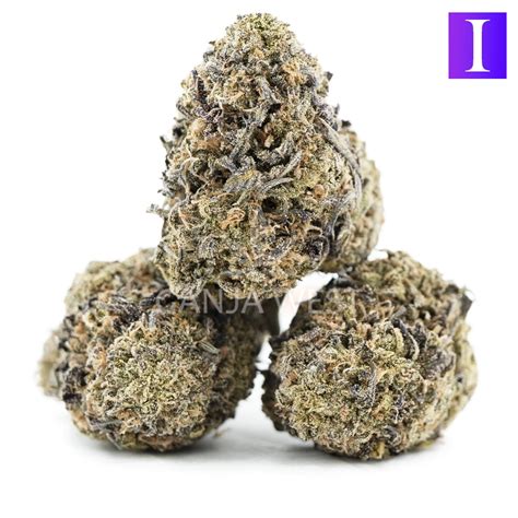 King S Kush AA Indica Ganja West Online Dispensary Canada