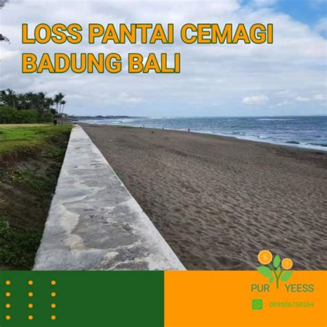 Loss Pantai Cemagi Are Badung Bali