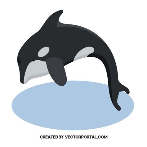 Whale Vector Art at Vectorified.com | Collection of Whale Vector Art ...