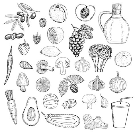 Premium Vector Set Of Vegan Food Vector Illustration Sketch