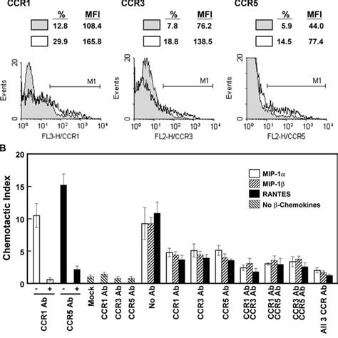 B Chemokines Upregulated Ccr1 Ccr3 And Ccr5 Expression And Interacted