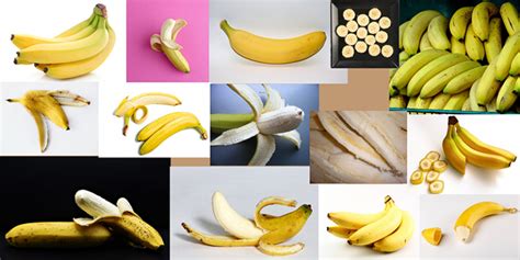 art reference create   stunningly  art reference boards