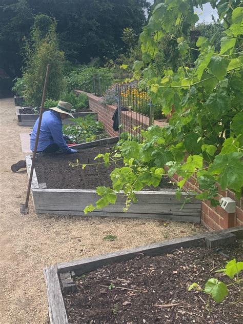 Planting seeds | Tasmanian Discoveries