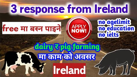 Ireland Working Visa For Nepali How To Apply Ireland Work Visa From