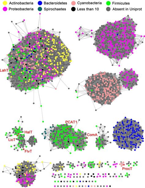 Figures And Data In Insights Into Ams Pcat Transporters From