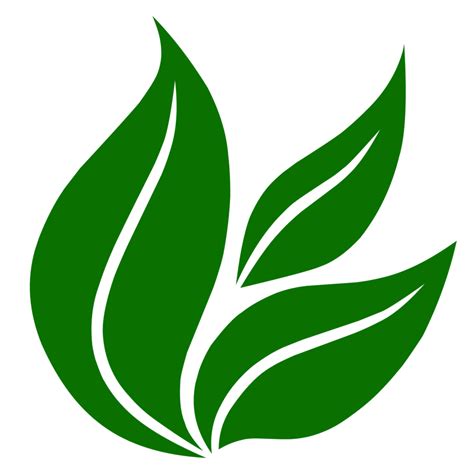 Green leaf icon 23363674 PNG