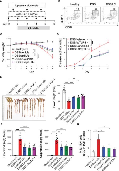 Frontiers Cell Penetrating TLR Inhibitor Peptide Alleviates