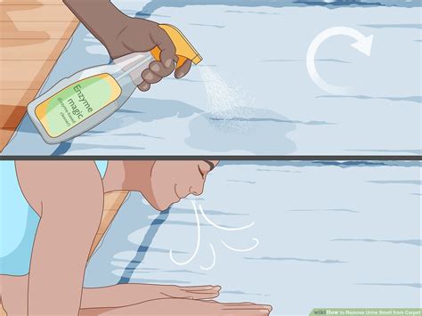 Urine From The Past: 5 Steps To Erase The Aroma