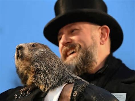 Punxsutawney Phil Predicts Early Spring Holmes County Herald