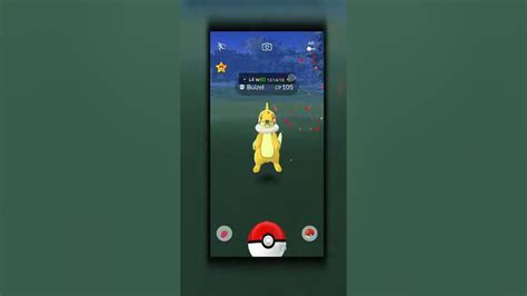 Catching Shiny Buizel Shiny Pokemon Pokemon Go Catch Shiny Pokemon Shiny Buizel