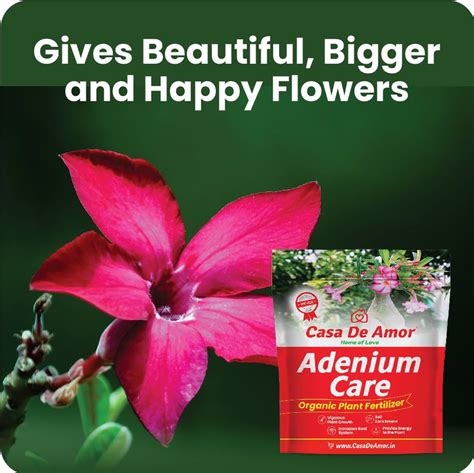 Casa De Amor Adenium Care Organic Fertilizer For Adenium Plants Multi