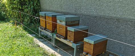 The Different Types Of Beehives Choose The Right Hive