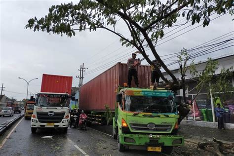 Pohon Trembesi Tumbang Dan Timpa Kontainer Di Sukorejo Radar Bromo