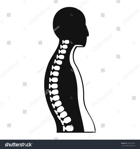 Human Spine Icon Simple Illustration Human Stock Vector Royalty Free