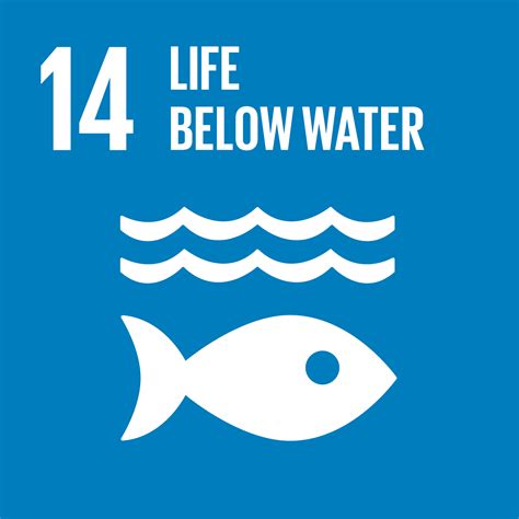 Ocean Literacy Key To Progress For A Sustainable Ocean Sdg Bergen Uib