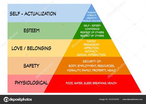 La Piramide De Maslow Los 5 Niveles De Las Necesidades Humanas Images